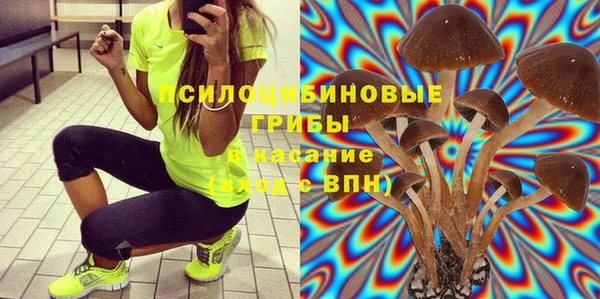 круглые Абаза